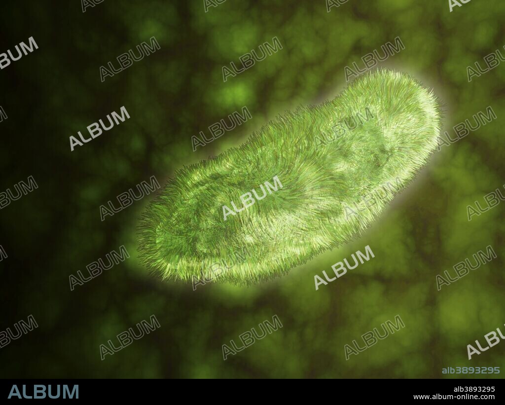 Microscopic view of protozoa. Leishmaniasis and dysentery are examples of diseases involving protozoa, often transmitted to humans by the bite of a parasite-carrying insect.