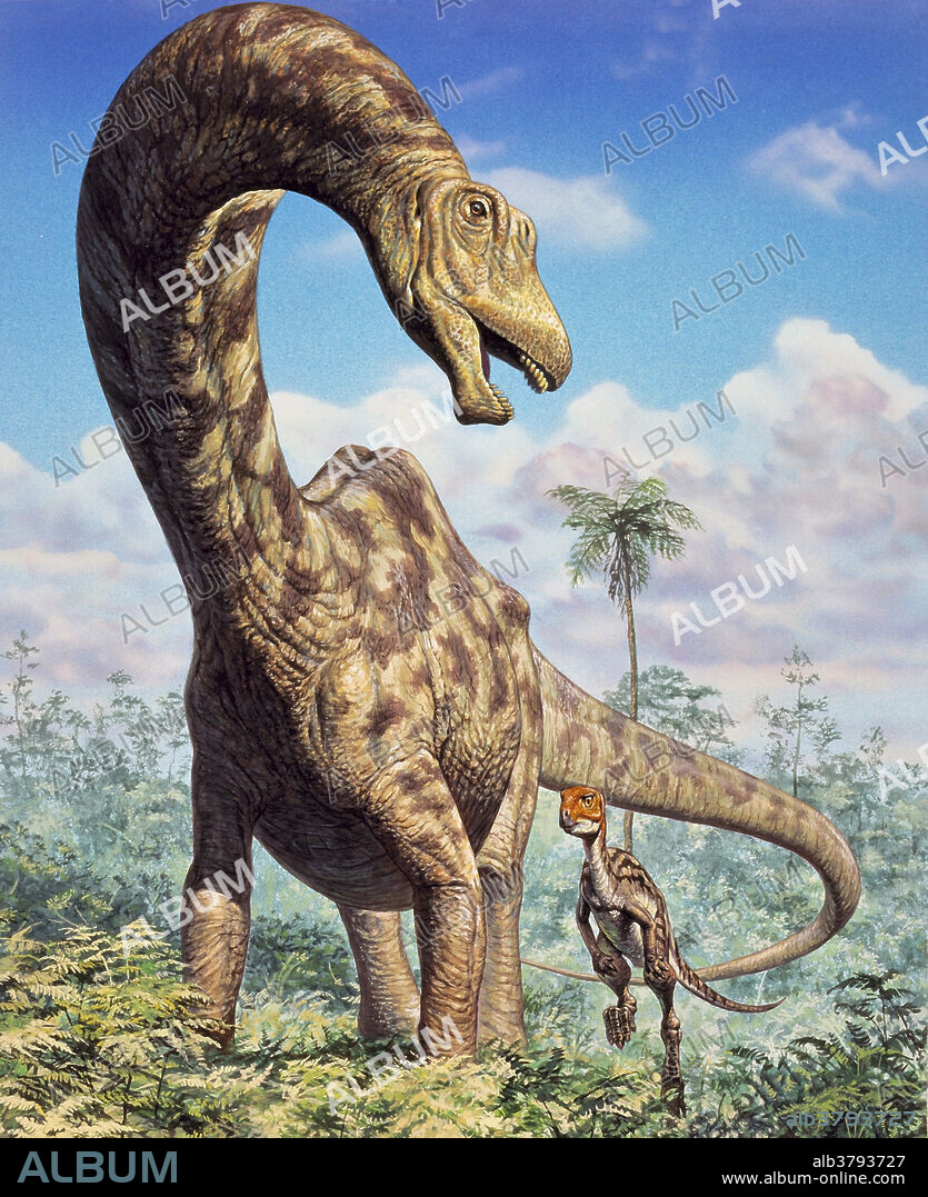 Seismosaurus, a sauropod from the Jurassic era of North America.