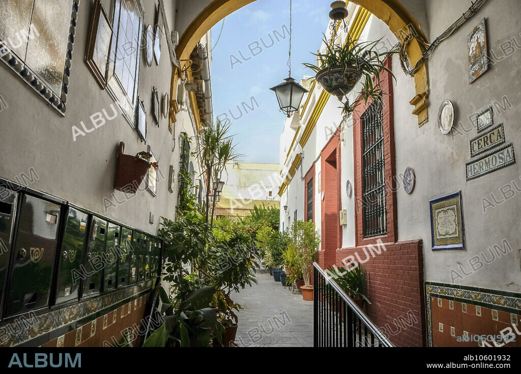 Sevilla, 19/07/2023. Reportaje de Triana para que Plan. Corral de Triana la cerca Hermosa en calle Alfarería. Foto: Raúl Doblado. Archsev.