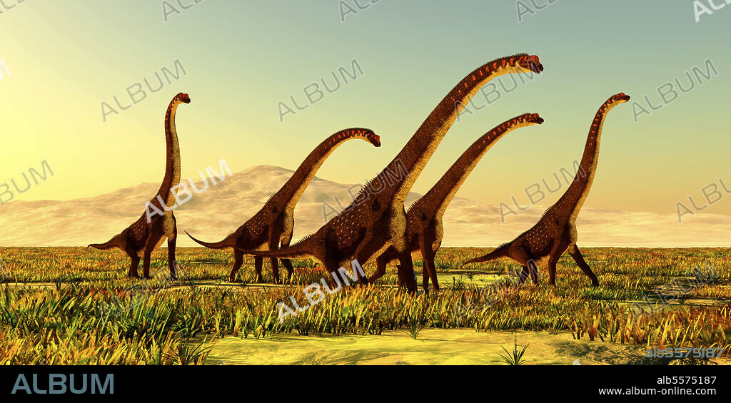 A herd of Giraffatitan dinosaurs travel through a grassy plain in Africa during the Jurassic Period.