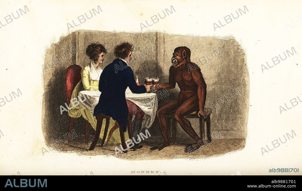 18thC Dutch couple drinking wine with a Bornean orangutan at the dining table. A female ourang outang was described by Dutch naturalist Dr. Arnout Vosnaer at the Prince of Oranges menagerie in 1776. She could eat with a fork and spoon, and drink Malaga wine in a glass. Handcoloured copperplate engraving from Reverend Thomas Smiths The Naturalists Cabinet, or Interesting Sketches of Animal History, Albion Press, James Cundee, London, 1806. Smith, fl. 1803-1818, was a writer and editor of books on natural history, religion, philosophy, ancient history and astronomy.