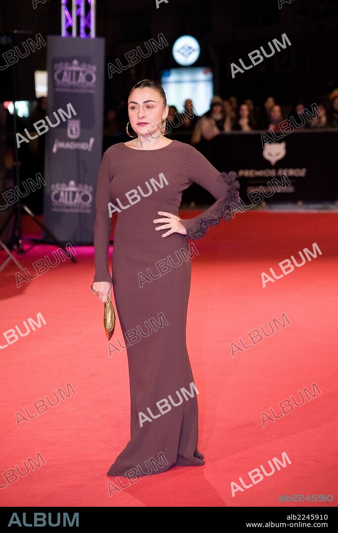 CANDELA PEÑA. Jan. 27, 2014 - Madrid, Spain - The actress Candela PeÃÆ?ÃâÃÂ±a poses the photocall of Feroz Awards, awarded by the Association of Film Widgets Spain. Held at Callao Cinema in Madrid. Photo: Oscar Gonzalez/NurPhoto. 27/01/2014