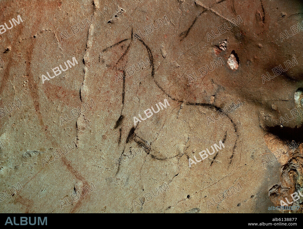 PINTURA RUPESTRE DE UN CABALLO EN LA CUEVA DE LA PASIEGA - PALEOLITICO SUPERIOR.