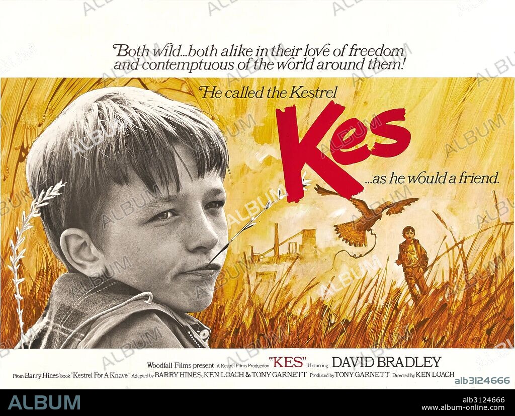 Poster of KES, 1969, directed by KEN LOACH. Copyright UNITED ARTISTS/WOODFALL.