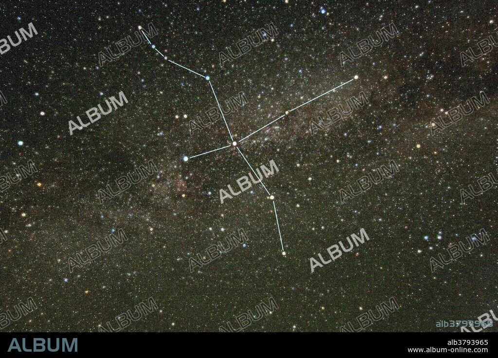 Cygnus Constellation