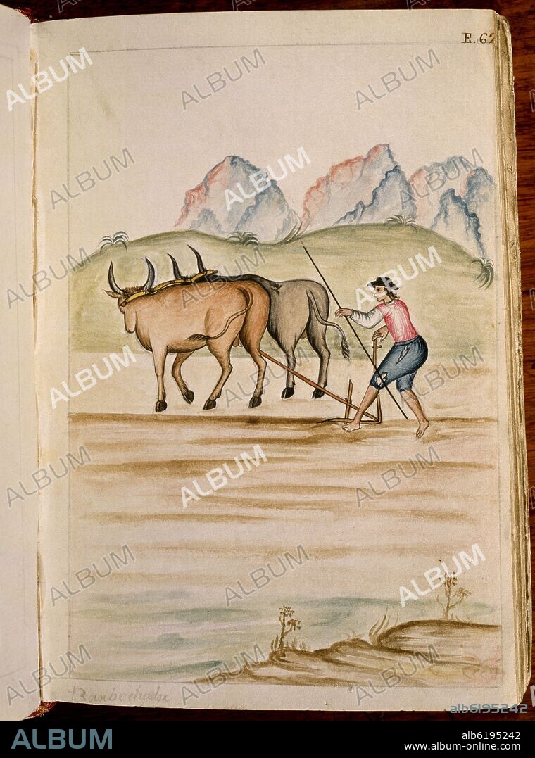 MARTINEZ COMPAÑON BALTASAR. CODICE TRUJILLO DEL PERU - TOMO II E 62 - INDIO BARBACHEANDO - ACUARELA - SIGLO XVIII.