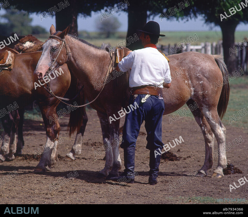 GAUCHO PONIENDO SILLA DE MONTAR A CABALLO.