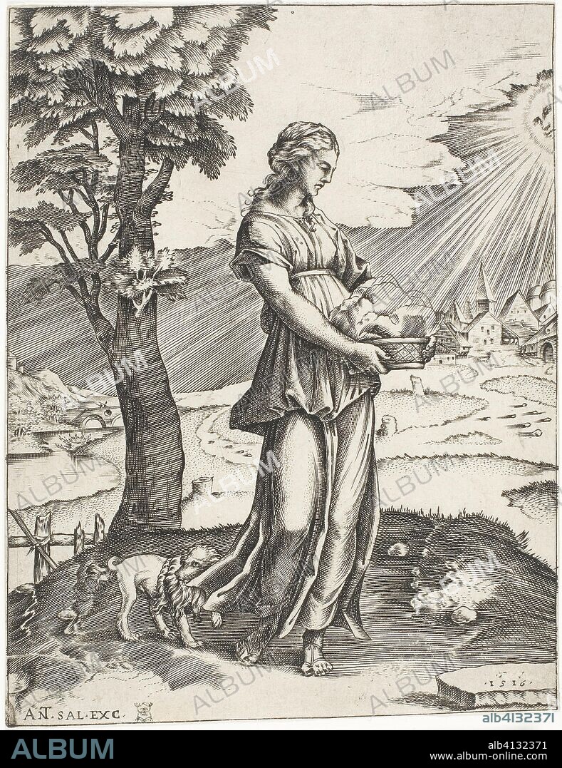 The Cumaean Sybil. Agostino dei Musi (Italian, c. 1490-after 1536); after Raffaello Sanzio, called Raphael (Italian, 1483-1520); printed by Antonio Salamanca (Italian, 1478-1562). Date: 1516. Dimensions: 168 x 128 mm (image); 169 x 129 mm (sheet). Engraving in black on cream laid paper. Origin: Italy.