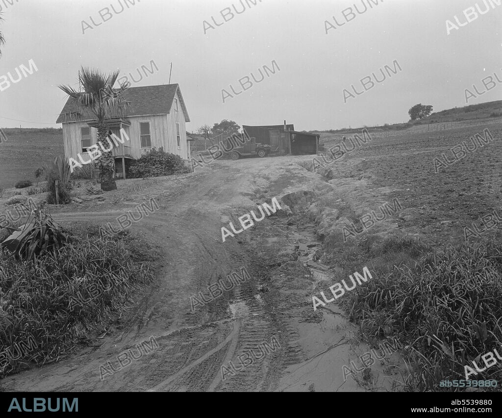 DOROTHEA LANGE. Eroded field. San Luis Obispo County, California.