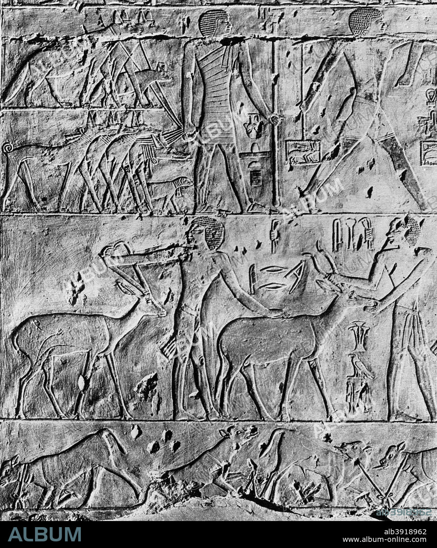 A hunting scene from the tomb of Ptahhotep, near Saqqara, Egypt, c2650 BC (1936). Limestone relief. Plate taken from The Art of Ancient Egypt, published by the Phaidon Press (Vienna, 1936).