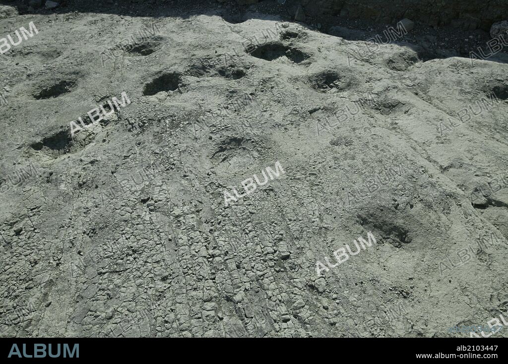 YACIMIENTO ARQUEOLOGICO EN CASAMONTERO (M-50). HUELLAS DE MASTODONTE Y FOSILES.