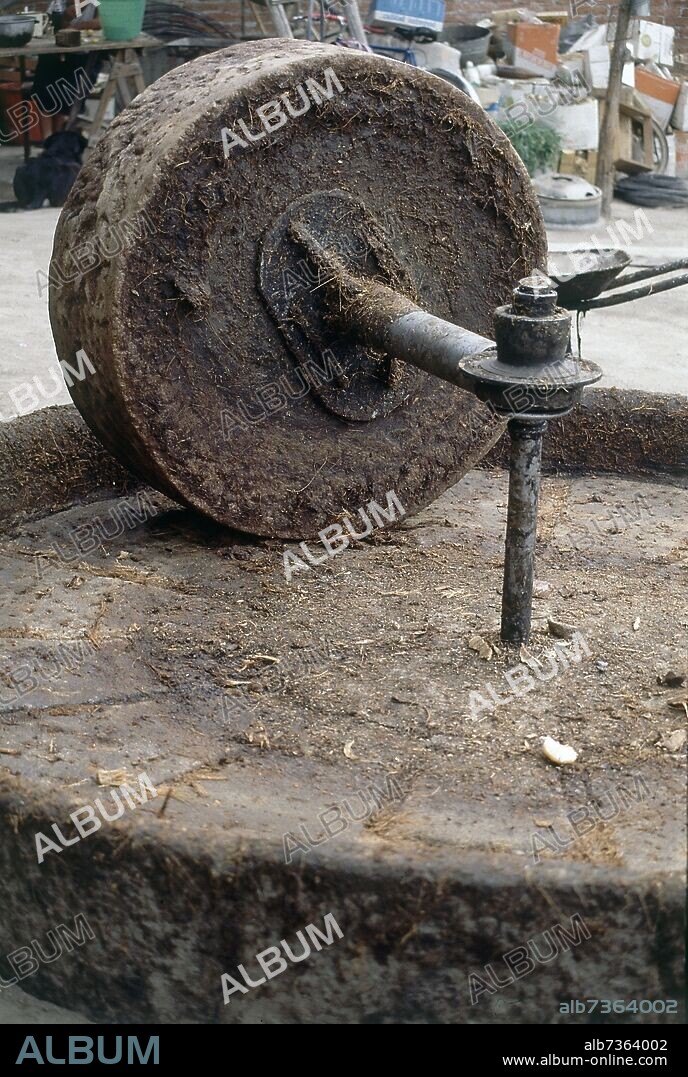 MOLINO PARA MOLER LA PULPA DEL PULQUE.