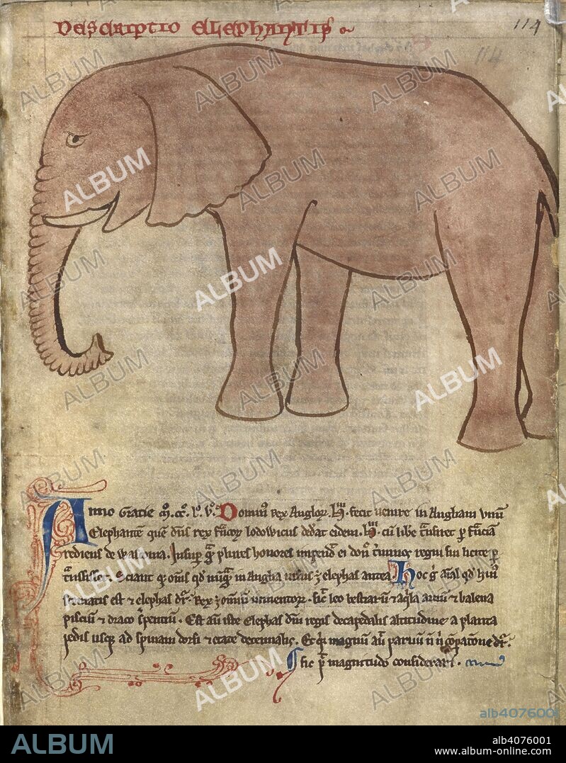 A medieval description of an elephant, with a drawing. John of Wallingford, Collectanea. St Albans Abbey and Wymondham Priory, 3rd quarter of the 13th century-2nd half of the 15th century. Source: Cotton Julius D.VII f.114. Language: Latin.
