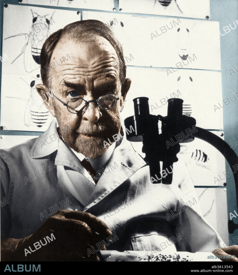 Thomas Hunt Morgan (1866-1945). Recipient of the 1933 Nobel Laureate in Medicine for his discoveries of the role played by the chromosome in heredity. Morgan received his Ph. D. in 1890 at Johns Hopkins University. The work which received the prize was completed over a 17-year period at Columbia University by Morgan and his students, commencing in 1910 with his discovery of the white-eyed mutation in the fruit fly, Drosophila. This led to the discovery of sex-linked inheritance, allowing chromosomes to be identified as the carriers of the hereditary material. Colorized version of 9A8125.