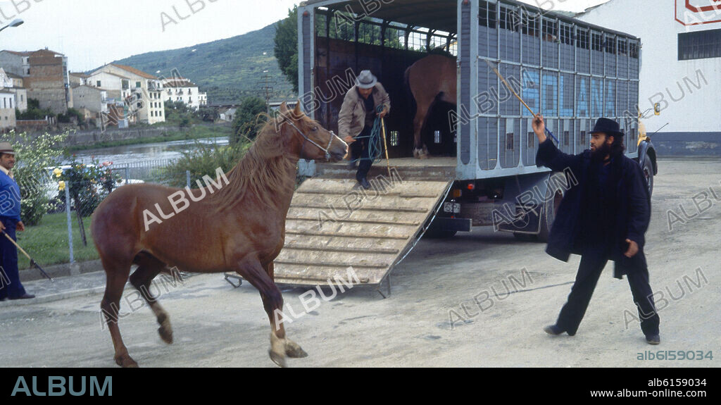 CARGA DE CABALLOS EN UN CAMION PARA TRANSPORTE.