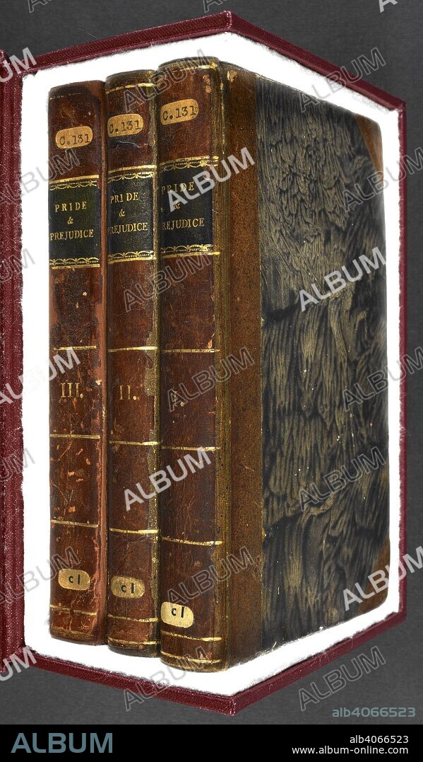 Spine and cover (not original cover) of 'Pride and prejudice', the novel written by Jane Austen. Pride and prejudice : a novel ... London : T. Egerton, 1813. Source: C.131.c.1. Spine and cover. Language: English.