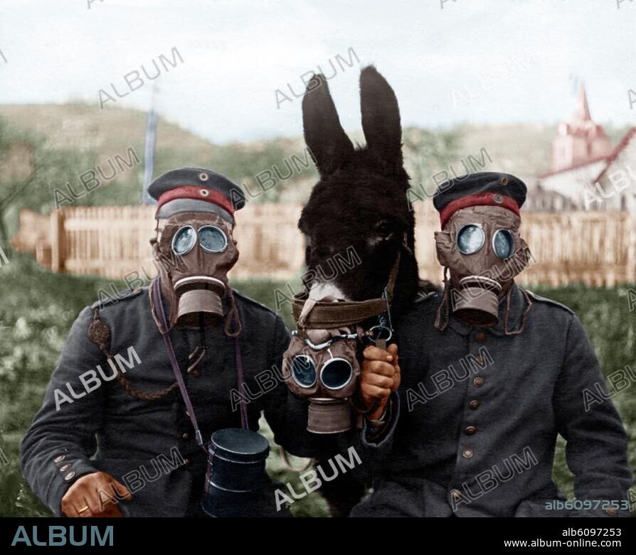 Military history: Gas masks.-Soldiers and mule wearing gas masks during World War I on the Western Front.-Photo, 1917; digitally coloured.