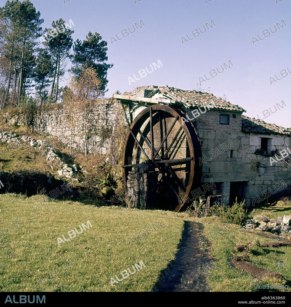 ACEÑA - MOLINO HARINERO DE AGUA SITUADO EN EL CAUCE DE UN RIO - AÑOS 60.
