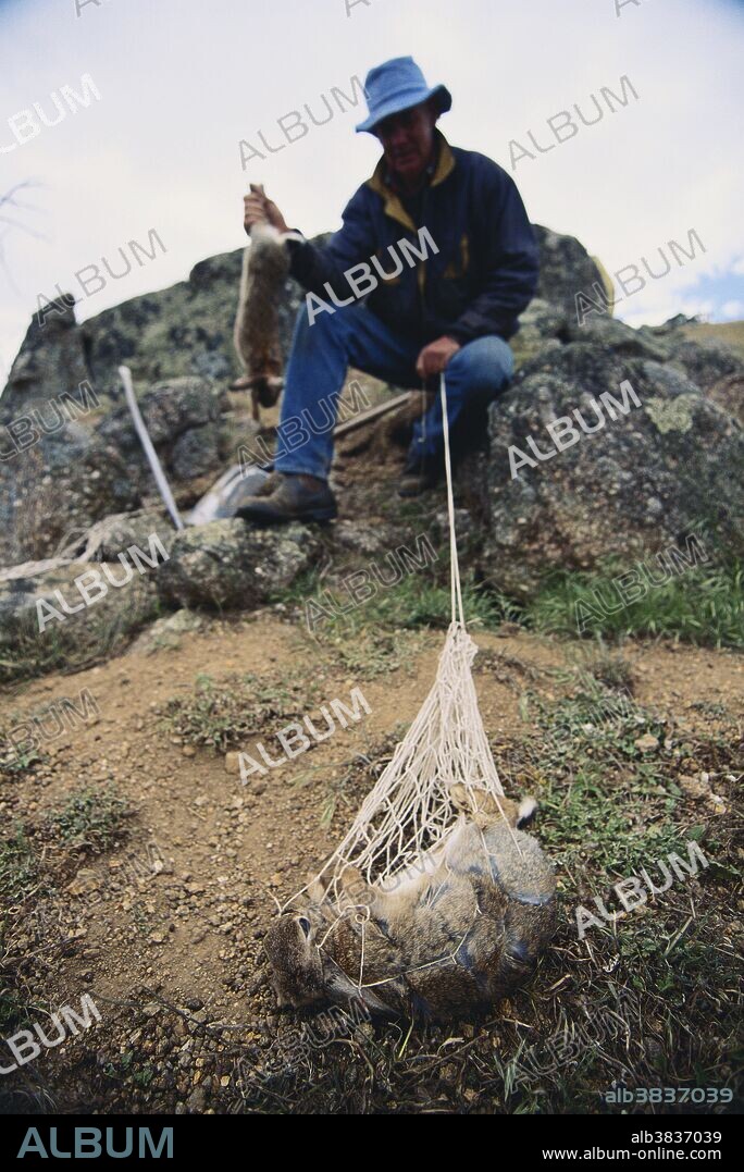 Lindsay Kipping with captured and killed rabbits flushed from their burrows by a ferret; part of an effort to eradicate rabbits from burrows throughout the Granite Creek district; Victoria, Australia.