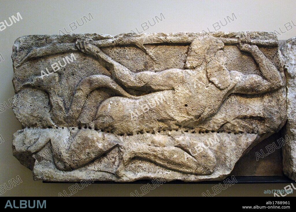 ARTE GRIEGO. TURQUIA. S. V a. C. Relieve de piedra caliza decorado con un SATIRO ESGRIMIENDO UNA RAMA DE ARBOL. Relieve procedente de un friso de animales que decoraba la parte alta del podio del Edificio G de la Acrópolis de Xanthos (Janto). Realizado durante el reinado del rey Kuprlli (480-440 a. C.). Museo Británico. Londres. Inglaterra. Reino Unido.