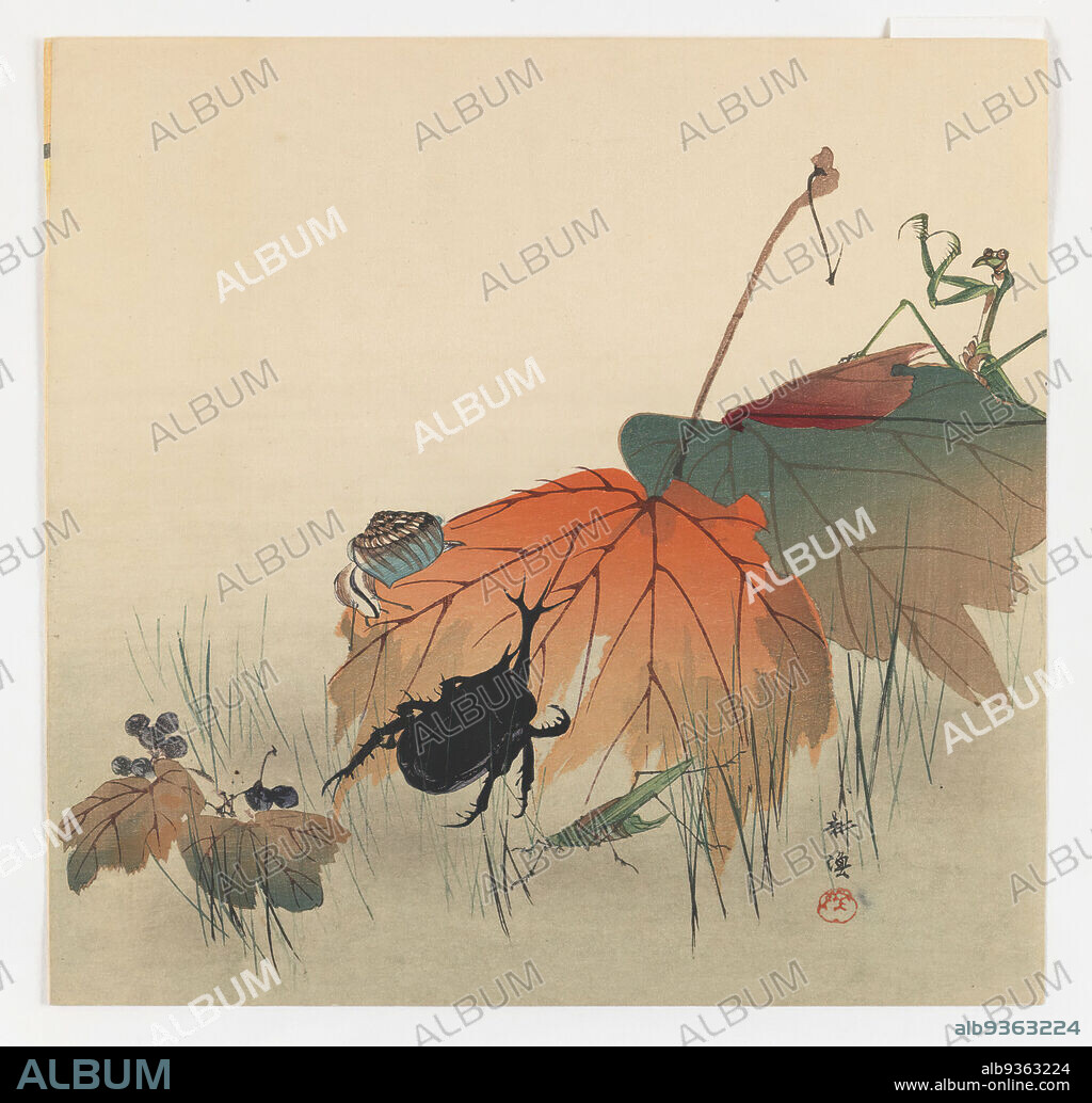 Insects and Autumn Leaves, Kogyo Terazaki, Japanese, 1866-1919, Color woodblock print on paper, Japan, ca. 1910, Meiji Period, 9 1/4 x 9 9/16 in., 23.5 x 24.3 cm, beetles, bird, botanical, bugs, decay, earth tones, Fall, grasshopper, insects, leaves, maple, orange, Season.