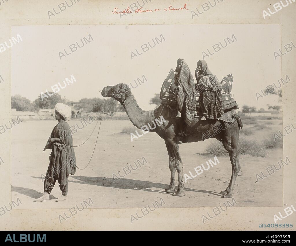 UNKNOWN. Sindhi women on a camel. A portrait of two Sindhi women seated on a camel being led by a man. Album of Famine Camp views in the Poona District and Canal Construction Scenes in Sindh. 1890s. Photograph. Source: Photo 940/1(29).