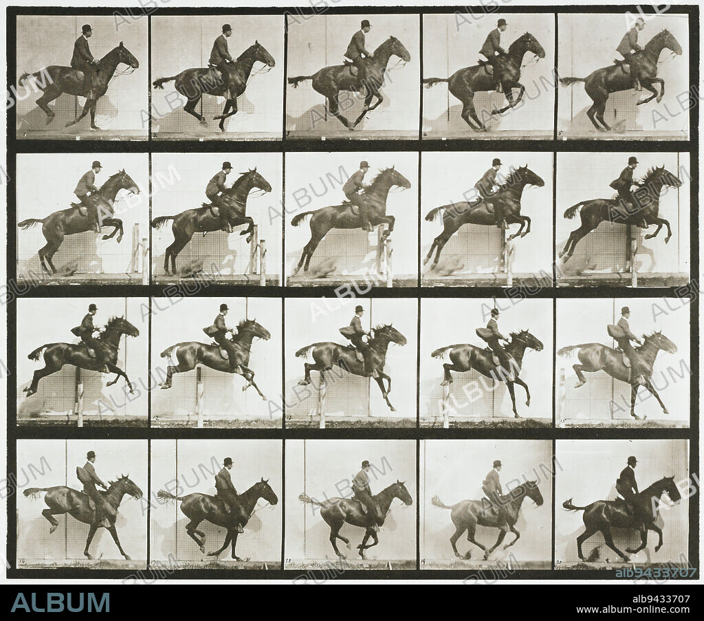 Animal Locomotion Plate 640, 1887, Eadweard Muybridge; Publisher: University of Pennsylvania, American (born England), American (born England), 1830 - 1904, 9 15/16 x 12 1/16 in. (25.24 x 30.64 cm) (image)18 1/2 x 23 9/16 in. (46.99 x 59.85 cm) (sheet)22 7/8 × 28 7/8 × 1 1/2 in. (58.1 × 73.34 × 3.81 cm) (outer frame), Collotype, 19th century.