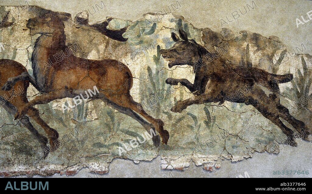 Pintura mural con escena de caza. Siglo II-III d. C. Decoraba las paredes de una lujosa Domus suburbana. Representa la persecución de tres ciervos por parte de un perro. Detalle. Museo Nacional Arqueológico. Tarragona. Cataluña. España. Mural painting. Roman era. Hunting scene. 2nd-3rd century AD. Roman domus. Dog chasing three deer, Spain. National Archaeological Museum. Tarragona. Catalonia, Spain.