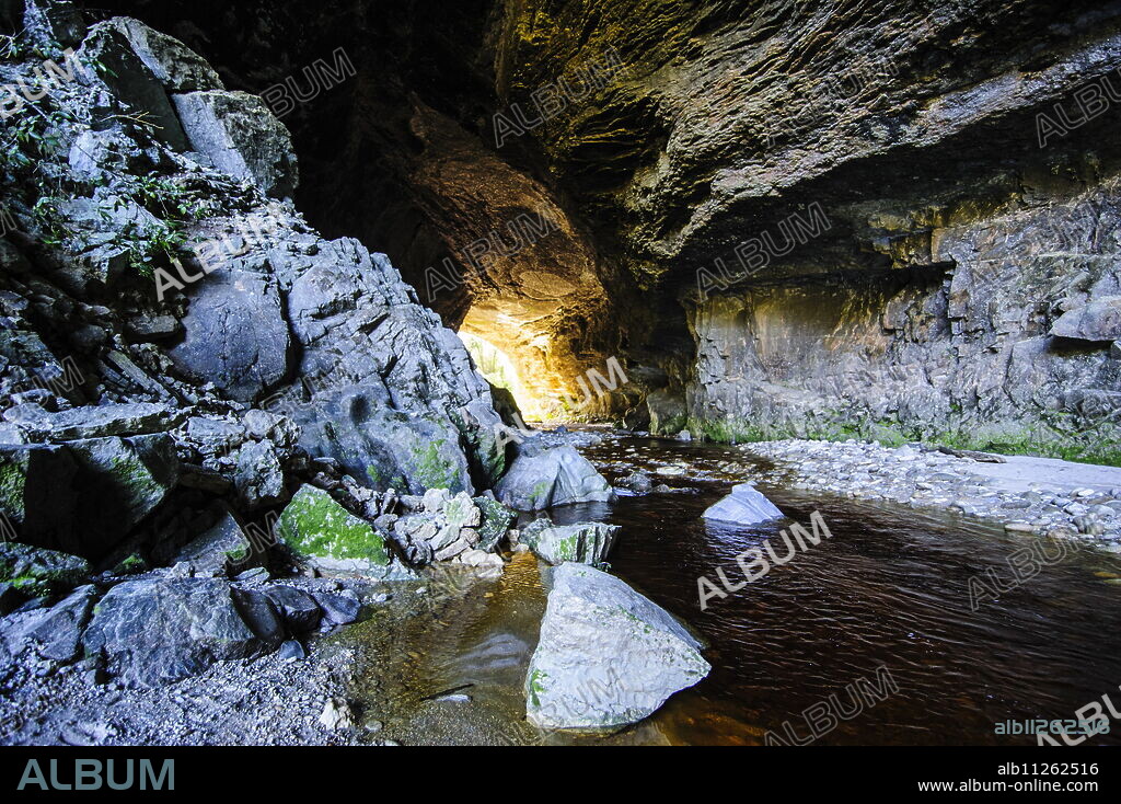Oparara Arch in the Oparara Basin, Karamea, West Coast, South Island, New Zealand, Pacific.