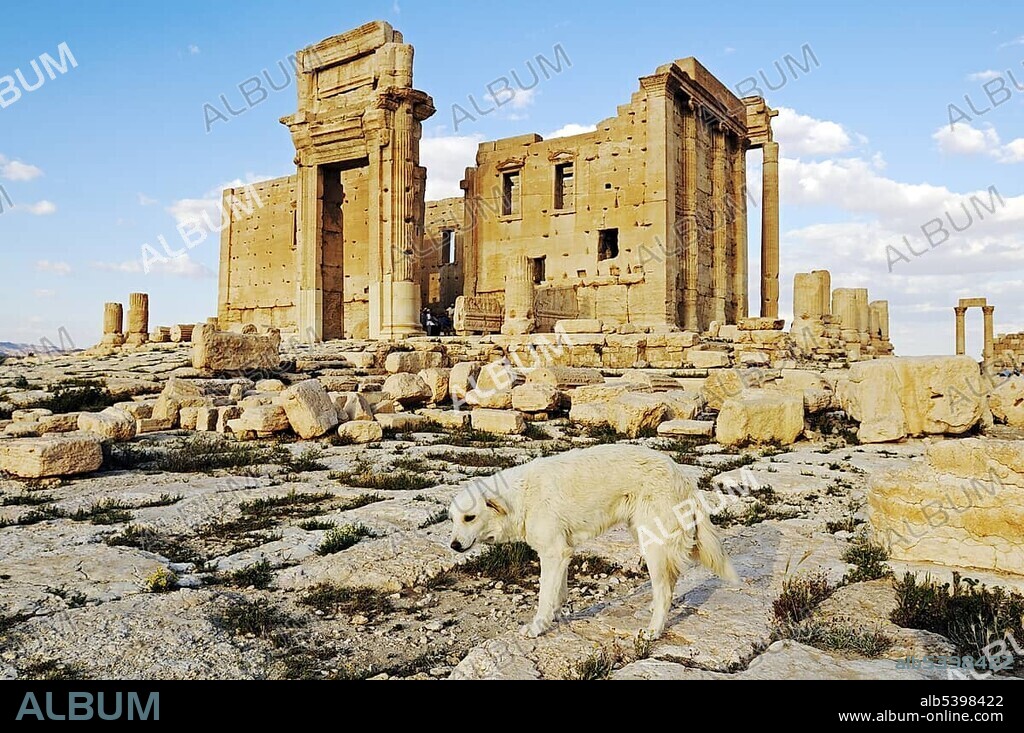 Temple of Baal Shamin in the ruins of the Palmyra archeological site, Tadmur, Syria, Asia