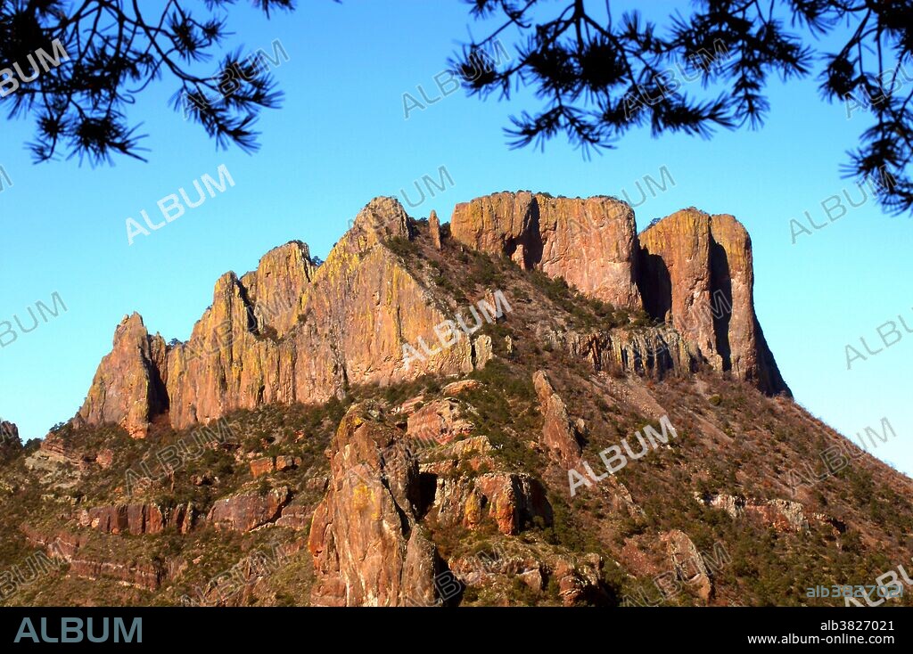Casa Grande Mountain, Big Bend National Park, Texas. This image reveals the difference in vegetation on the south-facing slope (hot, dry) and the north-facing slope (less direct sun, more forested) from the Lost Mine Trail.