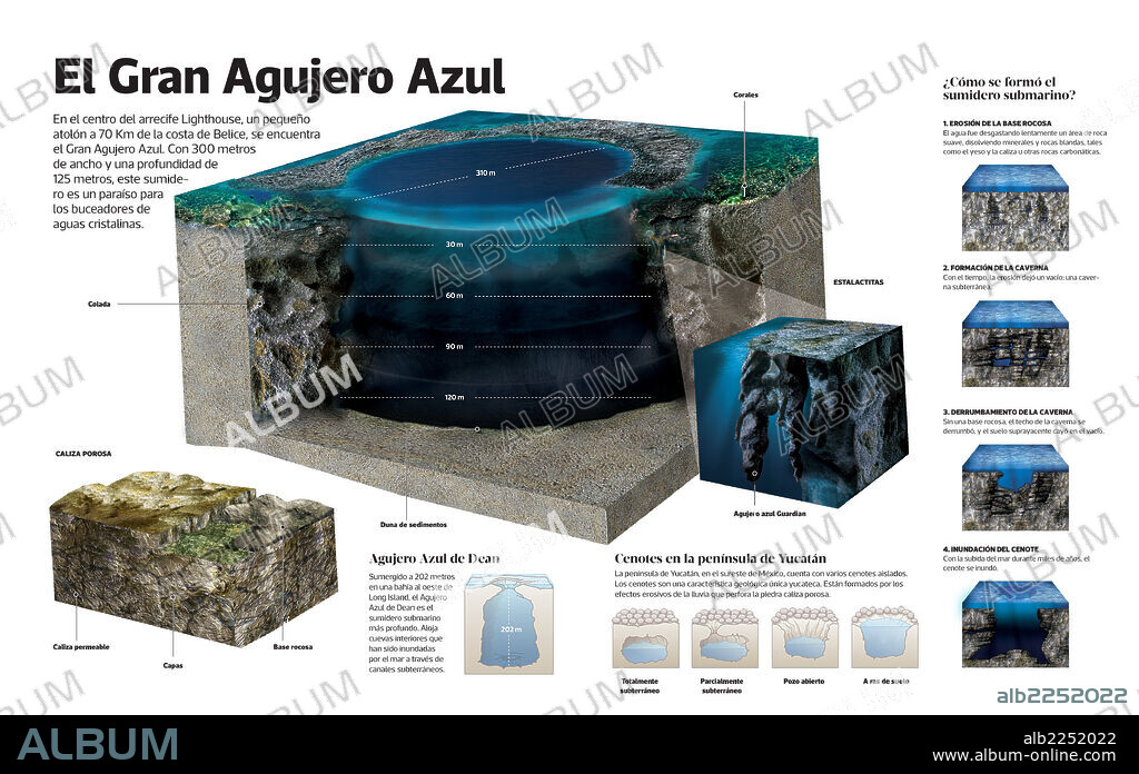 Great Blue Hole. Infographic of the Great Blue Hole, a sink-hole of the coast of Belize.