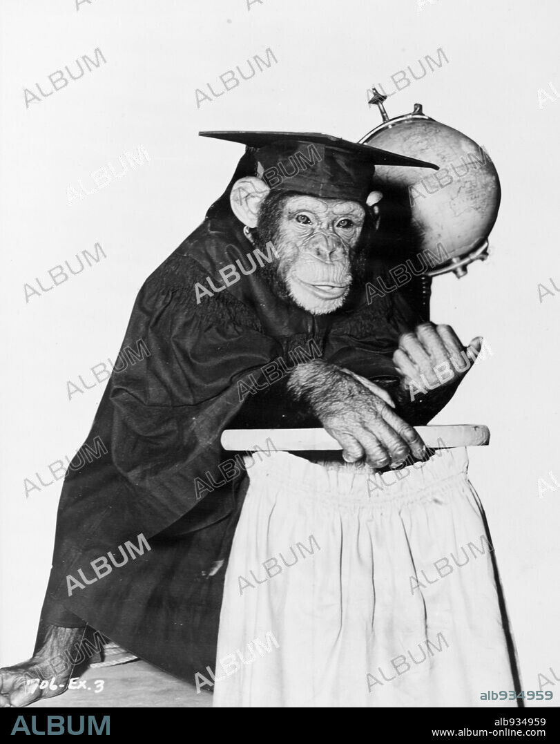 BONZO EN LA UNIVERSIDAD, 1952 (BONZO GOES TO COLLEGE), dirigida por FREDERICK DE CORDOVA. Copyright UNIVERSAL INTERNATIONAL.