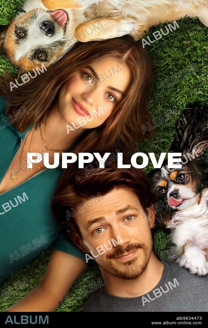 Poster of PUPPY LOVE, 2023, directed by NICK FABIANO and RICHARD REID. Copyright Buzzfeed Studios.