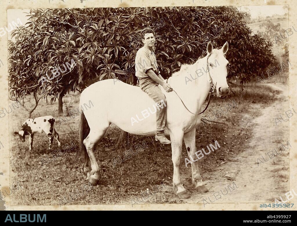 Digital Photograph - William James Partington on Horseback, Willis Vale, Greensborough, Victoria, circa 1885, Sepia image of a boy on horse back, taken in the orchard at 'Willis Vale' in Greensborough. The boy, William James was the nephew of Robert Whatmough who leased the orchard for his nursery business. Behind William is the orchard.