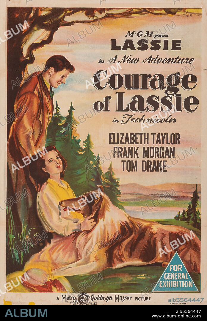 Poster of COURAGE OF LASSIE, 1946, directed by FRED M. WILCOX. Copyright Metro-Goldwyn-Mayer (MGM).