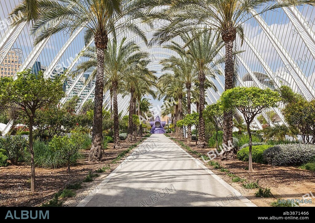 The City of Arts and Sciences, L'Umbracle, Valencia, Spain, Europe.