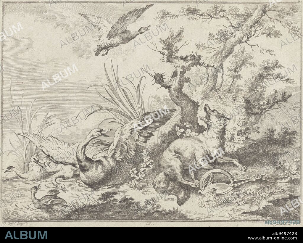 Wolf in a clamp with a goose and ducks, Gottlieb Friedrich Riedel, 1734 - 1784, print maker: Gottlieb Friedrich Riedel, (mentioned on object), publisher: Johann Gradmann, 1734 - 1784, paper, etching, h 206 mm × w 275 mm.
