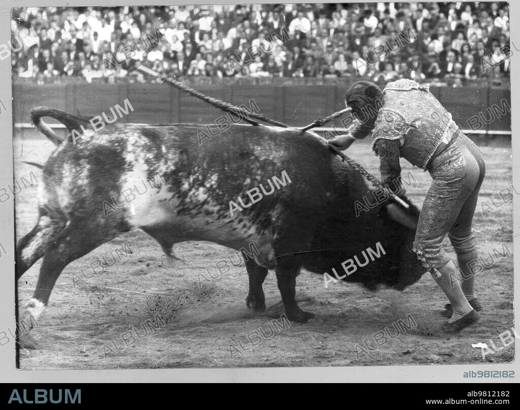 Seville, April 1959. Rafael Ortega in the lunge of the bull "Trabuco", by Miura, fought in the fourth bullfight of the April Fair.