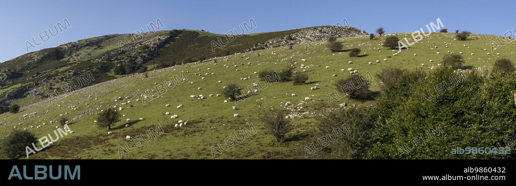 GR 20 trail - Circular route to Aralar, Aralar natural park, Guipuzcoa-Navarra, Spain.