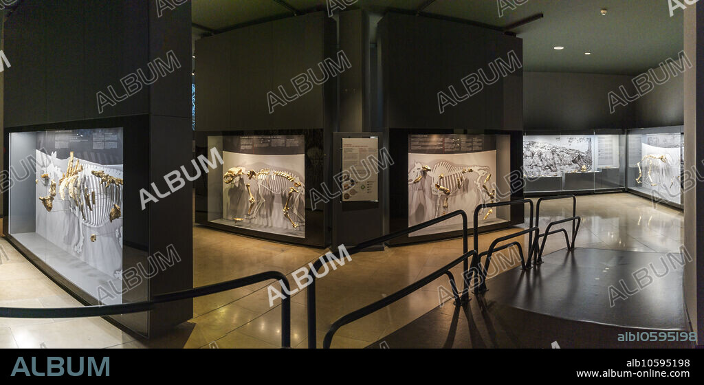 Museum of prehistory and archeology (MUPAC), Santander, Cantabria, Spain.