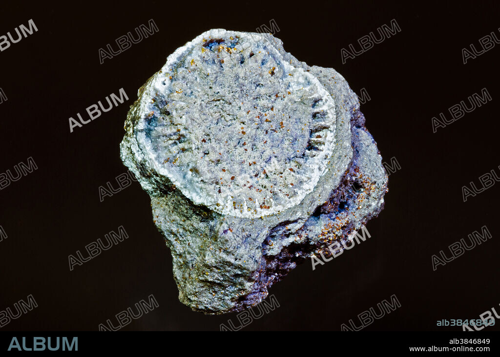 Coral Fossil Replaced with Minerals