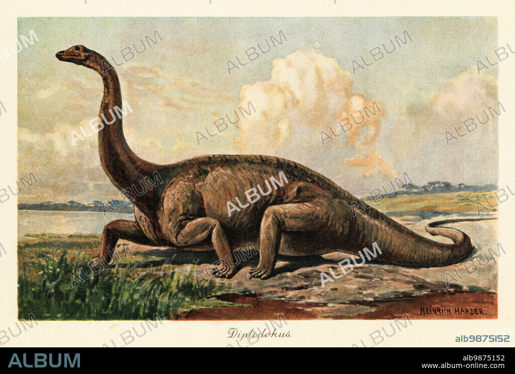 Extinct Diplodocus longus on the plains. Diplodocus, genus of diplodocid sauropod dinosaur, Late Jurassic. Diplodokus. Colour printed illustration by Heinrich Harder from Wilhelm Bolsches Tiere der Urwelt (Animals of the Prehistoric World), Reichardt Cocoa company, Hamburg, 1908. Heinrich Harder (1858-1935) was a German landscape artist and book illustrator.