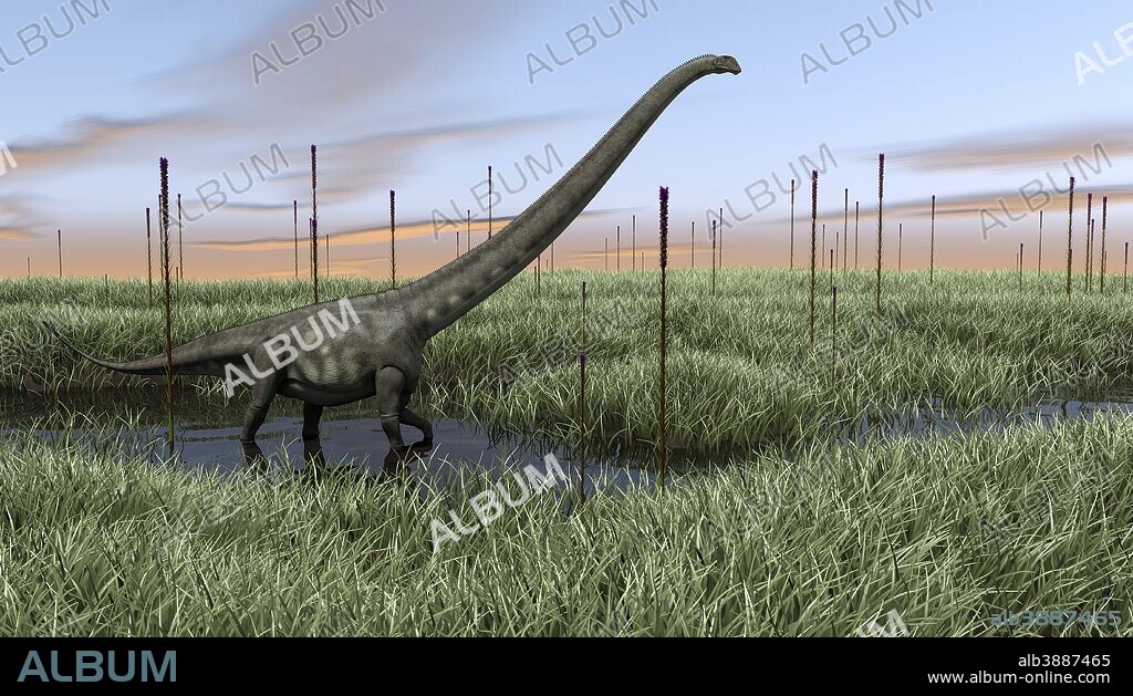 Mamenchisaurus walking through wetlands.