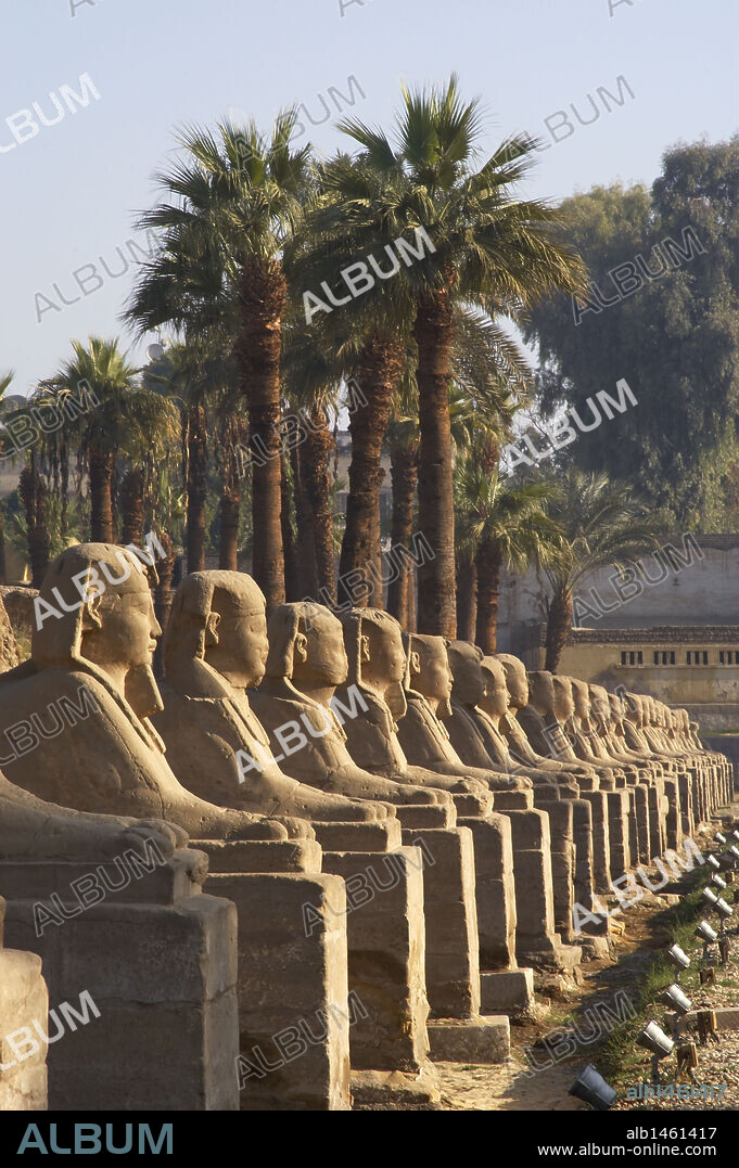 ARTE EGIPCIO. EGIPTO. TEMPLO DE LUXOR. Vista general del tramo de la AVENIDA DE LAS ESFINGES criocéfalas. El Templo de Luxor estaba unido al de Karnak por un largo "dromos" flanqueado por esfinges. Imperio Nuevo. Antigua Tebas "Waset".