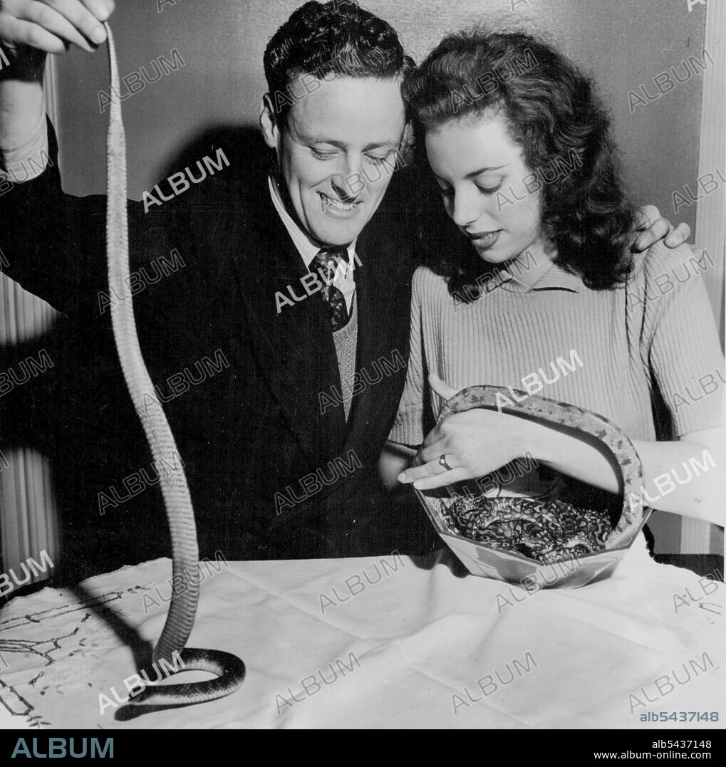 A Bride'll Chase Death Adders -- Mr. Eric Worrell and his fiancee. Miss Carol Hawkins, with a tiger snake and basketball of young pythons. Residents of Cecily-street, Lilyfield, are showering congratulations on reptile-hunter Eric Worrell, 23, and snake handler Miss Carol Hawkins, 22, who will be married shortly. The couple plan to marry in two weeks, spend a honeymoon in NSW, and then leave for the Northern Territory in search of snakes, including the tiger and death adder, crocodiles, lizards.