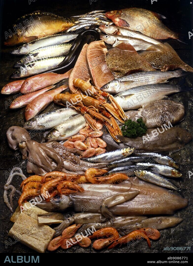 Italian Cooking By Robin Howe. Carp, Anchovies, Freshwater Bream, Mackerel, Eel, Whiting, Red Mullett, Tuna Fish Steak, Wings Of Skate, Rainbow Trout, Dublin Bay Prawns, Grey Mullett. Octopus, Prawns, Cuttlefish, Dover Sole, Sardines, King Prawns, Giant Squid And Baby Squid, Salt Fish.