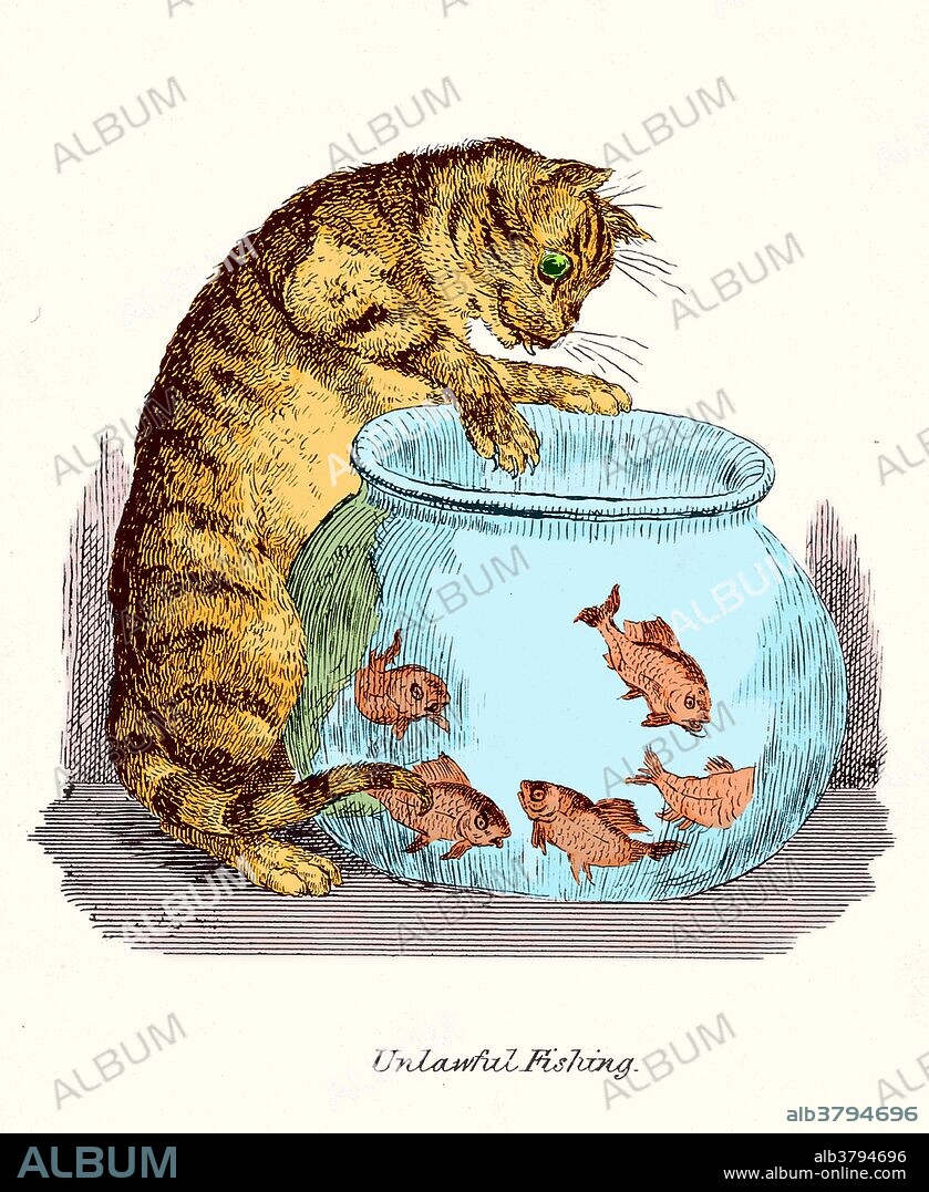 "Unlawful Fishing": a cat pawing at goldfish in a bowl. Reproduction of a pen and ink drawing by Robert Seymour. This image has been color enhanced.