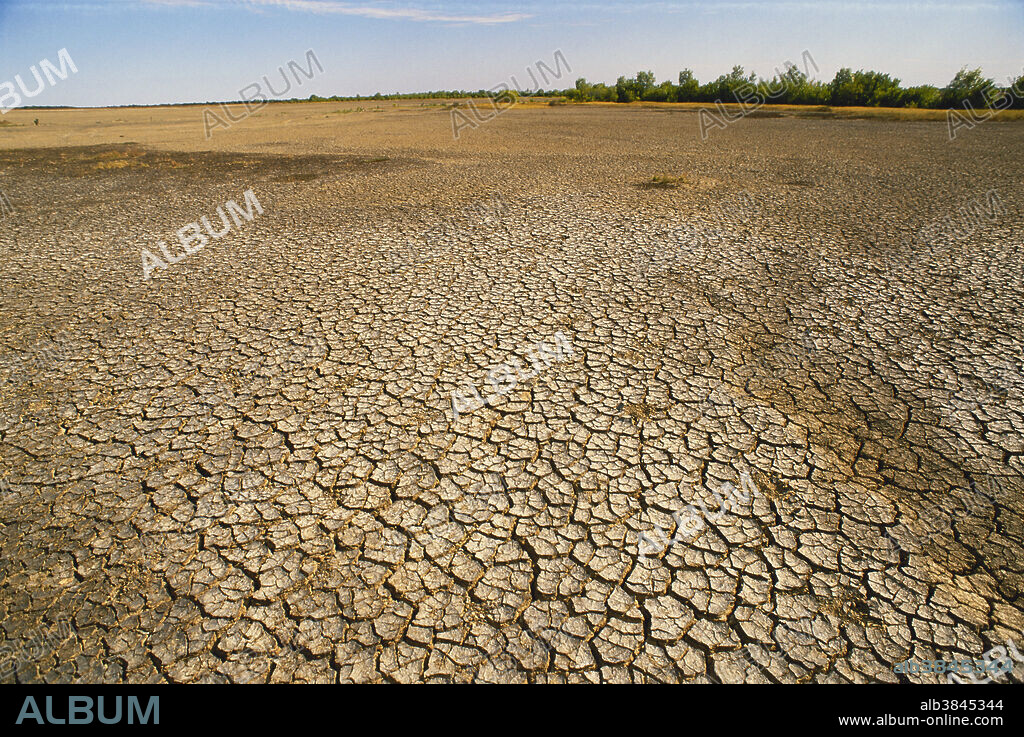 Mud Cracks on Salt Flats