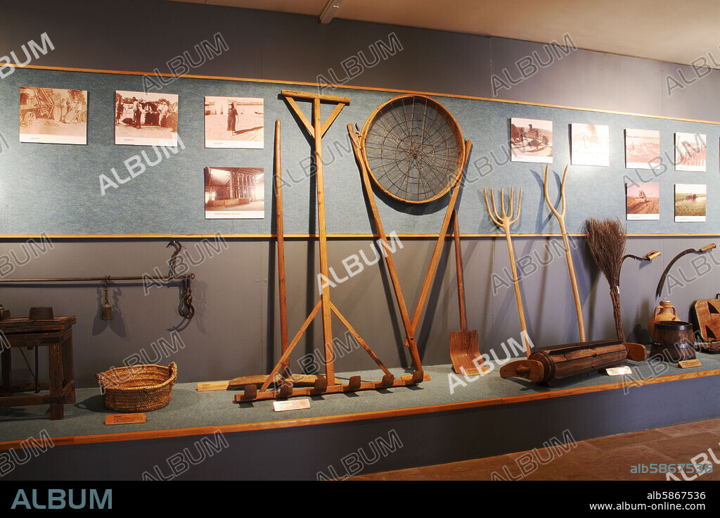 Amposta; Museo / Museu del Montsia; sala dedicada al cultivo del arroz / cultiu de l' arros.